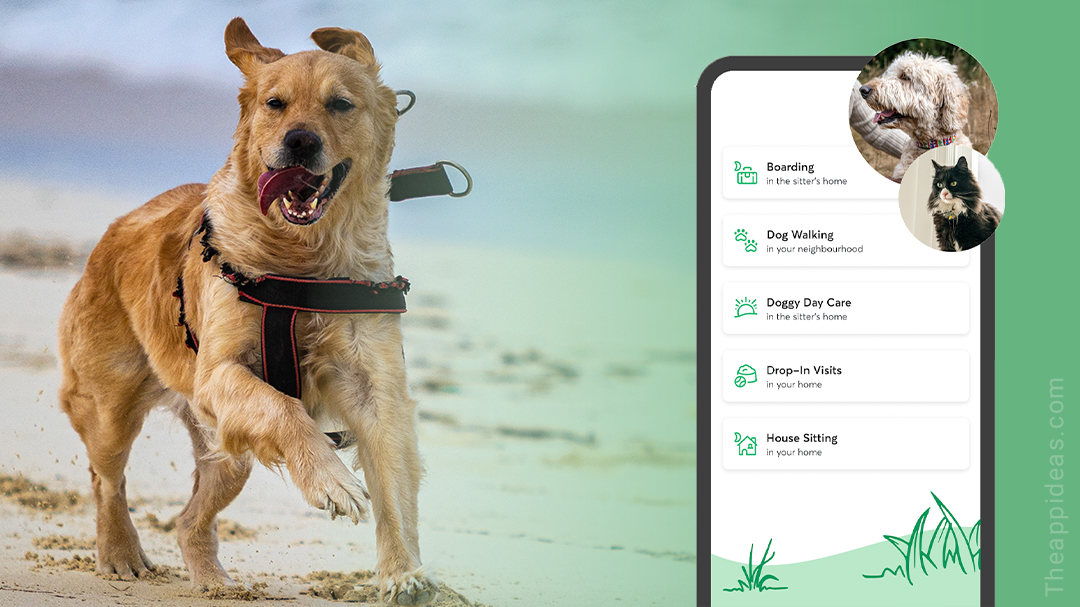 Dog Walking App Development