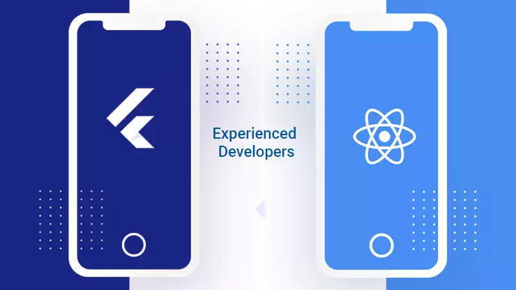 Experienced Developers