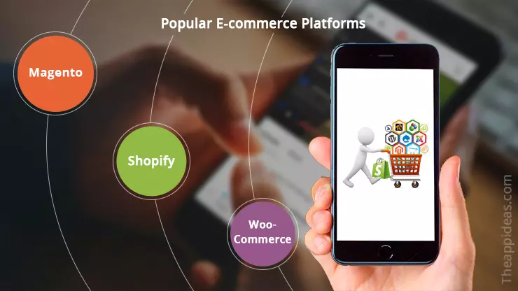 Popular E-Commerce Platforms