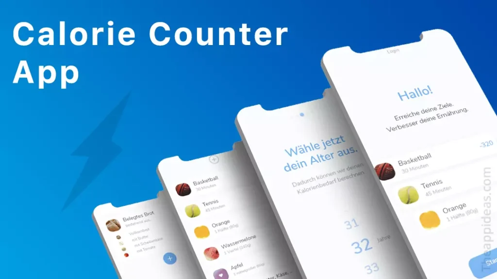 Calorie Counter App Development
